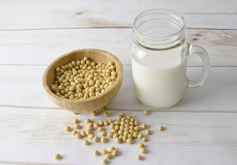 Plant-Based Nutrition